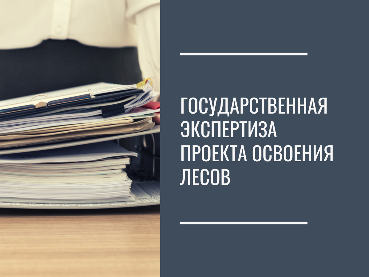 Проведение государственной экспертизы проектов освоения лесов расположенных на землях лесного фонда